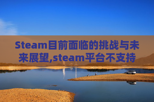 Steam目前面临的挑战与未来展望,steam平台不支持