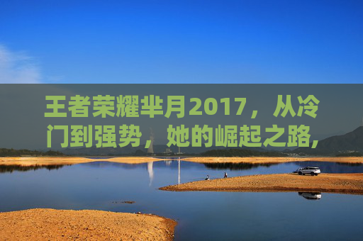 王者荣耀芈月2017，从冷门到强势，她的崛起之路,王者荣耀芈月2020年视频