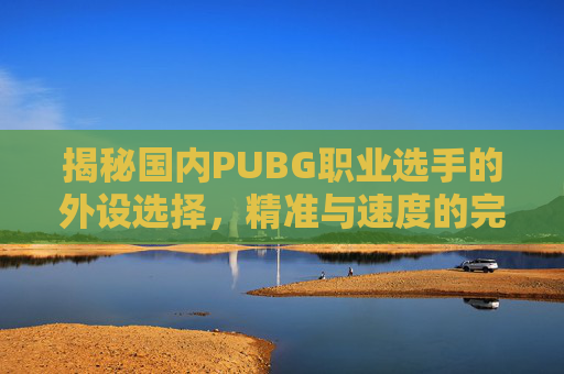 揭秘国内PUBG职业选手的外设选择，精准与速度的完美结合,电线为什么是两根-第1张图片-游戏守望资讯网