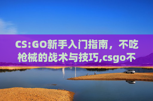 CS:GO新手入门指南，不吃枪械的战术与技巧,csgo不吃磨损的皮肤-第1张图片-游戏守望资讯网