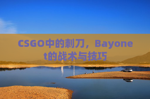 CSGO中的刺刀，Bayonet的战术与技巧-第1张图片-游戏守望资讯网