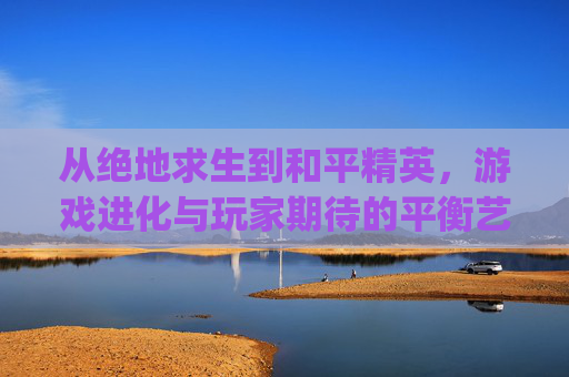 从绝地求生到和平精英，游戏进化与玩家期待的平衡艺术,pubg怎么调人称