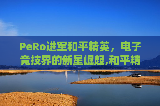 PeRo进军和平精英，电子竞技界的新星崛起,和平精英pen是什么比赛