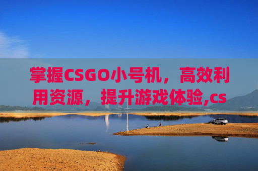 掌握CSGO小号机，高效利用资源，提升游戏体验,csgo小号滑稽视频