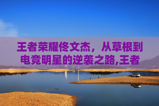 王者荣耀佟文杰，从草根到电竞明星的逆袭之路,王者荣耀佟力