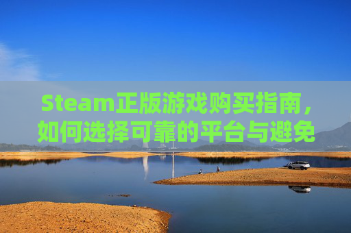 Steam正版游戏购买指南，如何选择可靠的平台与避免常见陷阱,steam正版在哪