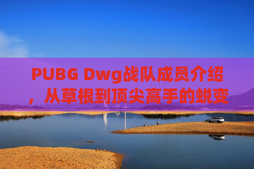 PUBG Dwg战队成员介绍，从草根到顶尖高手的蜕变之路,pubgedg战队