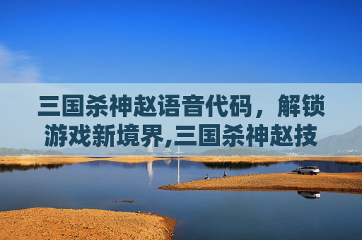 三国杀神赵语音代码，解锁游戏新境界,三国杀神赵技能