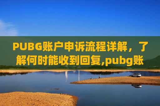 PUBG账户申诉流程详解，了解何时能收到回复,pubg账号申诉