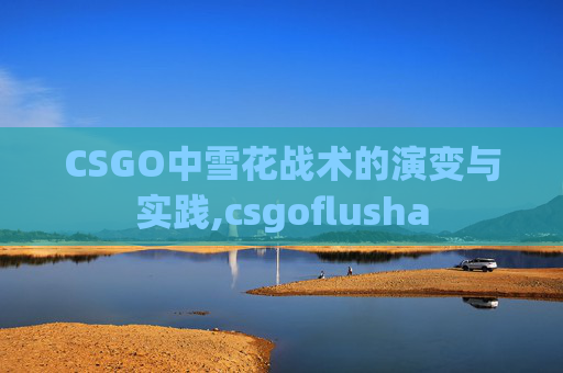 CSGO中雪花战术的演变与实践,csgoflusha