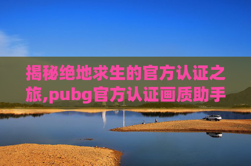 揭秘绝地求生的官方认证之旅,pubg官方认证画质助手