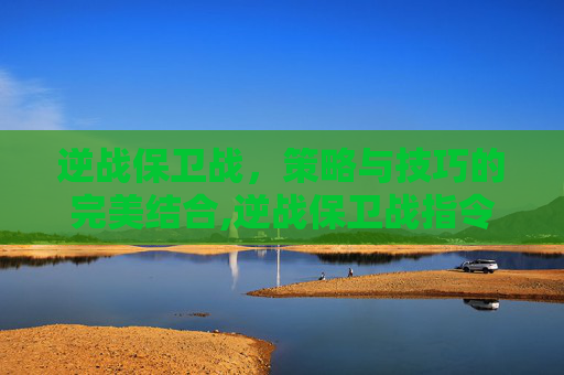 逆战保卫战，策略与技巧的完美结合,逆战保卫战指令代码大全