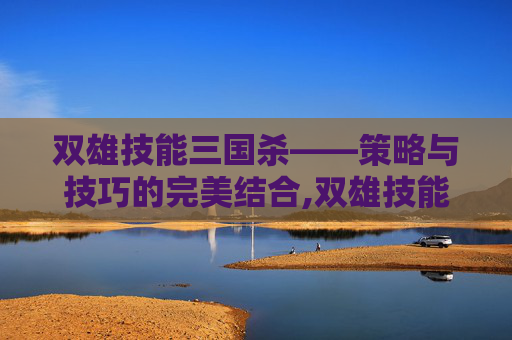 双雄技能三国杀——策略与技巧的完美结合,双雄技能三国杀有什么用