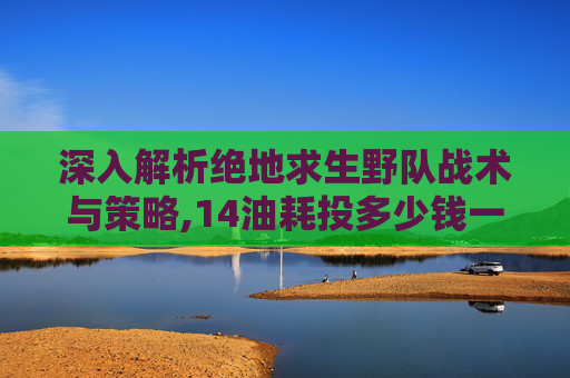 深入解析绝地求生野队战术与策略,14油耗投多少钱一公里