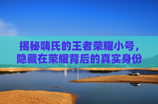 揭秘嗨氏的王者荣耀小号，隐藏在荣耀背后的真实身份,王者荣耀小号怎么取名字