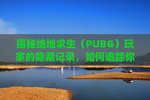 揭秘绝地求生（PUBG）玩家的隐藏记录，如何追踪你的游戏足迹,pubg怎么看自己在哪个服
