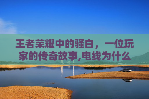 王者荣耀中的骚白，一位玩家的传奇故事,电线为什么是两根