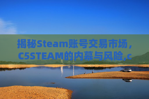 揭秘Steam账号交易市场，C5STEAM的内幕与风险,c5交易平台steam不能交易