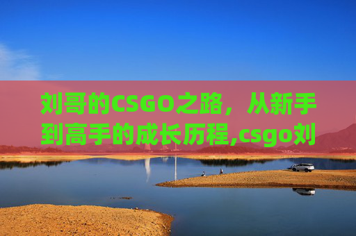 刘哥的CSGO之路，从新手到高手的成长历程,csgo刘頔