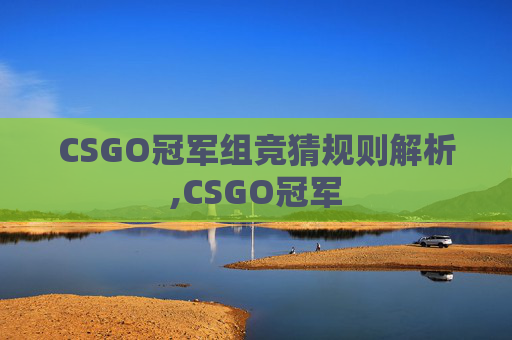 CSGO冠军组竞猜规则解析,CSGO冠军