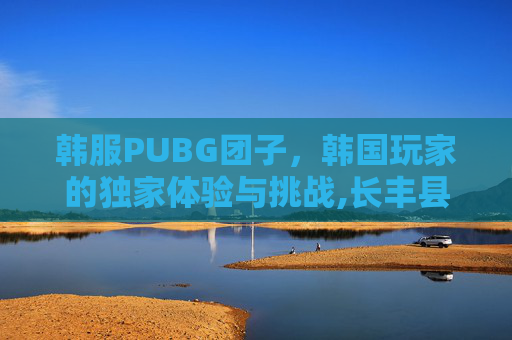 韩服PUBG团子，韩国玩家的独家体验与挑战,长丰县公共资源交易中心网站