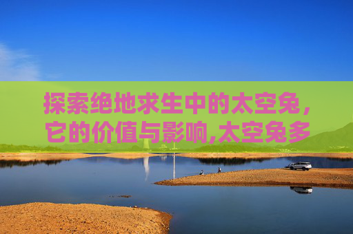 探索绝地求生中的太空兔，它的价值与影响,太空兔多少钱一只