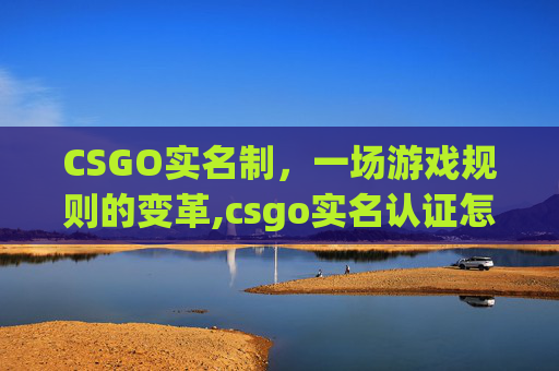CSGO实名制，一场游戏规则的变革,csgo实名认证怎么解除
