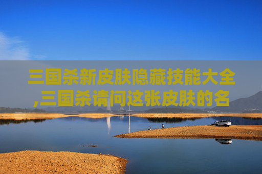 三国杀新皮肤隐藏技能大全,三国杀请问这张皮肤的名称是什么