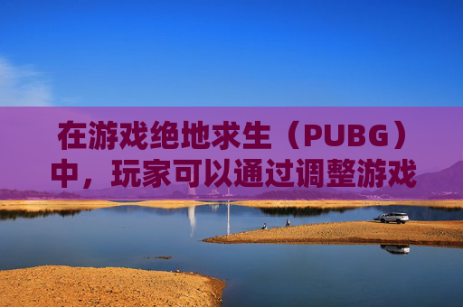 在游戏绝地求生（PUBG）中，玩家可以通过调整游戏内的视觉效果来提升游戏体验。以下是一些关于如何调整PUBG画风的建议，,PUBG画面设置方法