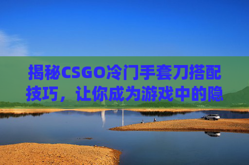揭秘CSGO冷门手套刀搭配技巧，让你成为游戏中的隐形高手！,csgo冷门手套刀搭配什么