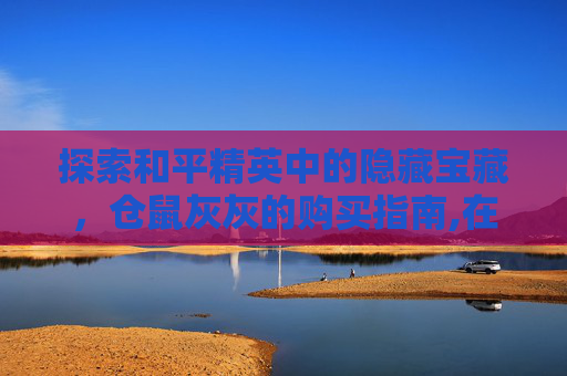 探索和平精英中的隐藏宝藏，仓鼠灰灰的购买指南,在哪买和平精英仓鼠灰灰的衣服