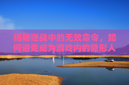 揭秘逆战中的无效命令，如何避免成为游戏内的隐形人,逆战无效命令怎么解决