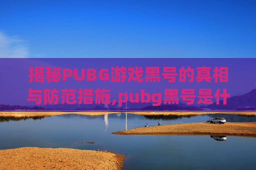 揭秘PUBG游戏黑号的真相与防范措施,pubg黑号是什么意思