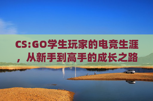 CS:GO学生玩家的电竞生涯，从新手到高手的成长之路,csgo学生5千元怎么教育