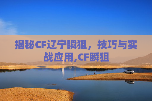 揭秘CF辽宁瞬狙，技巧与实战应用,CF瞬狙