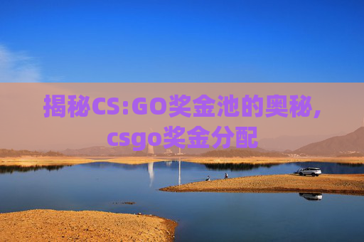 揭秘CS:GO奖金池的奥秘,csgo奖金分配