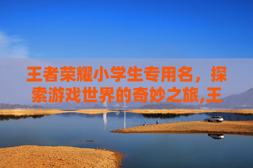 王者荣耀小学生专用名，探索游戏世界的奇妙之旅,王者荣耀小学生名字