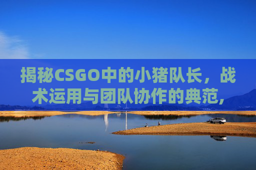 揭秘CSGO中的小猪队长，战术运用与团队协作的典范,猪猪小队长