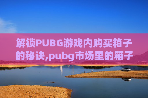 解锁PUBG游戏内购买箱子的秘诀,pubg市场里的箱子都是什么