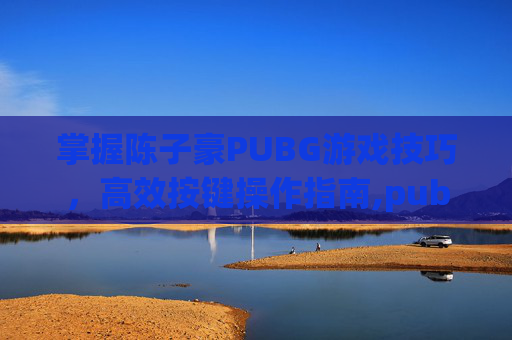 掌握陈子豪PUBG游戏技巧，高效按键操作指南,pubg按键设置怎么变空的