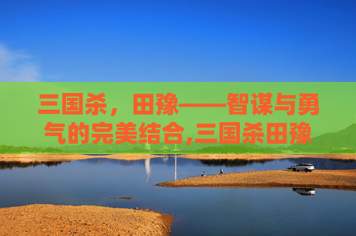三国杀，田豫——智谋与勇气的完美结合,三国杀田豫技能