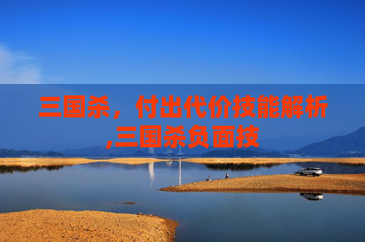 三国杀，付出代价技能解析,三国杀负面技