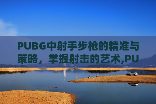 PUBG中射手步枪的精准与策略，掌握射击的艺术,PUBG射手步枪伤害排名