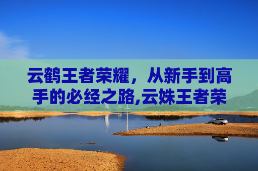 云鹤王者荣耀，从新手到高手的必经之路,云姝王者荣耀