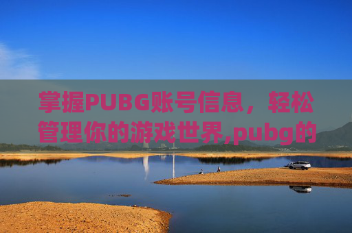 掌握PUBG账号信息，轻松管理你的游戏世界,pubg的id在哪看