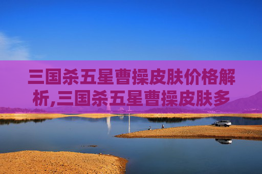 三国杀五星曹操皮肤价格解析,三国杀五星曹操皮肤多少钱一个