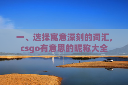 一、选择寓意深刻的词汇,csgo有意思的昵称大全-第1张图片-游戏守望资讯网