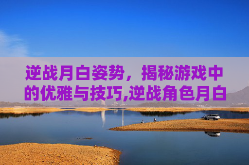 逆战月白姿势，揭秘游戏中的优雅与技巧,逆战角色月白技能