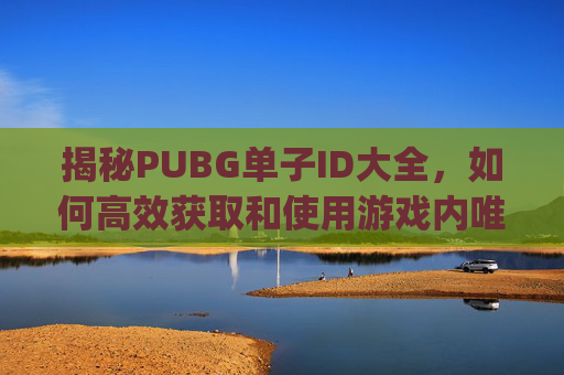 揭秘PUBG单子ID大全，如何高效获取和使用游戏内唯一识别码,Pub g没人用的单子ID