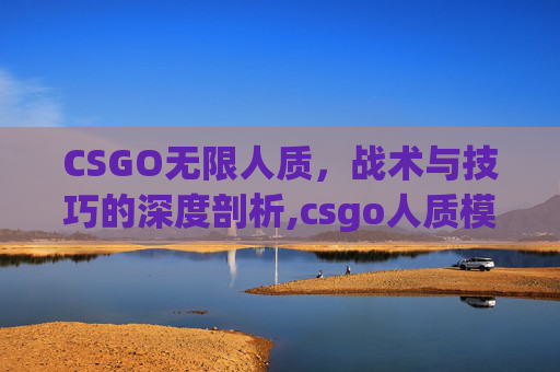 CSGO无限人质，战术与技巧的深度剖析,csgo人质模式怎么玩